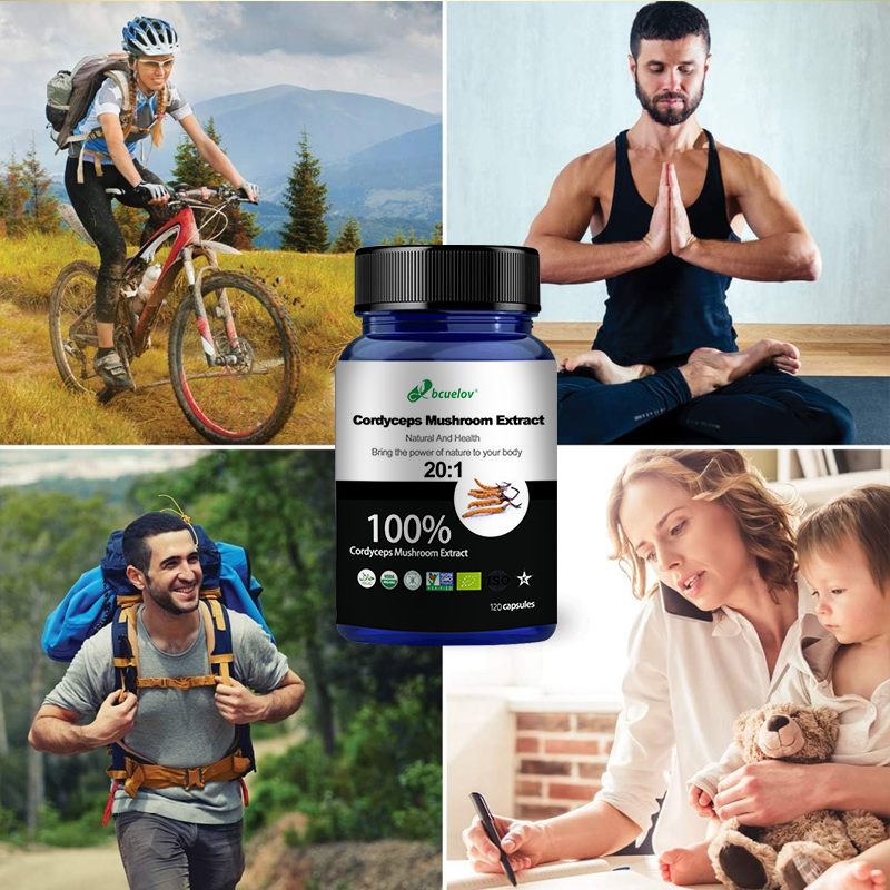 Cápsulas de Extracto de Hongo  - Herbal Wellness Water reseña y precio